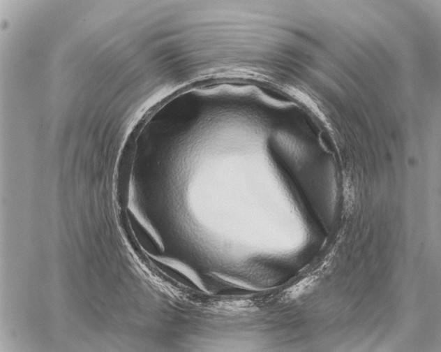 X0000059101133200510211626