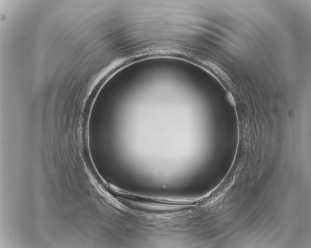 X0000059101134200510211626