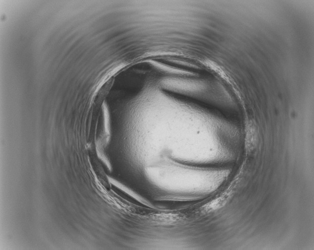 X0000059101137200510211626