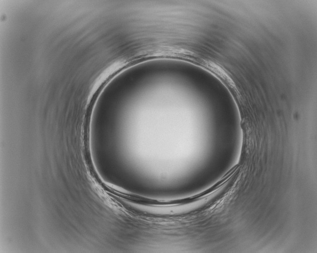 X0000059101138200510211626