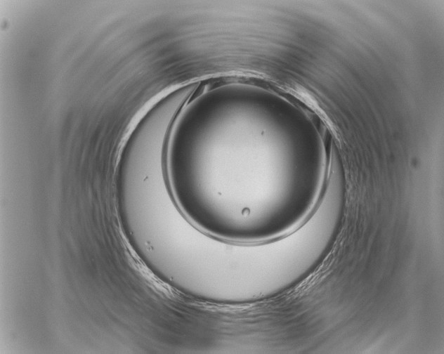 X0000059101140200510211626