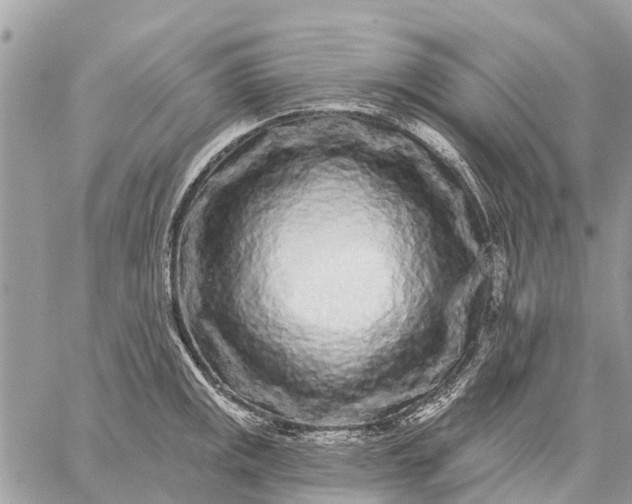 X0000059101141200510211626