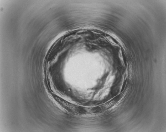 X0000059101142200510211626