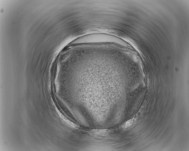 X0000059101143200510211626