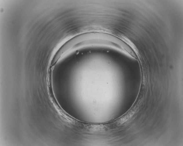 X0000059101144200510211626