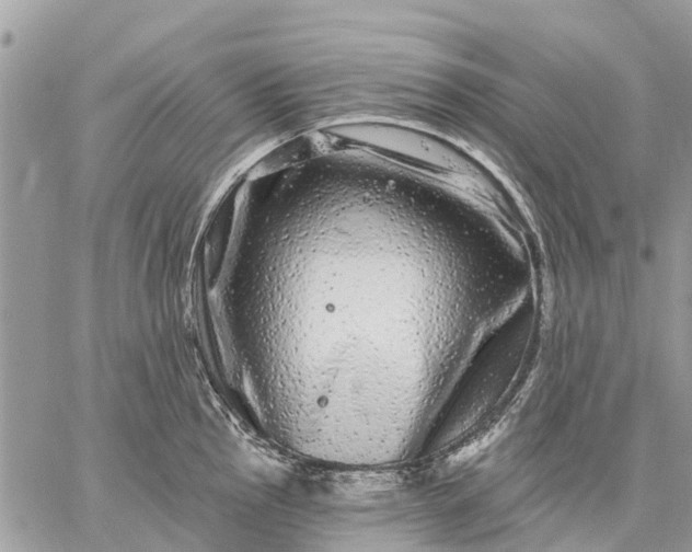 X0000059101145200510211626