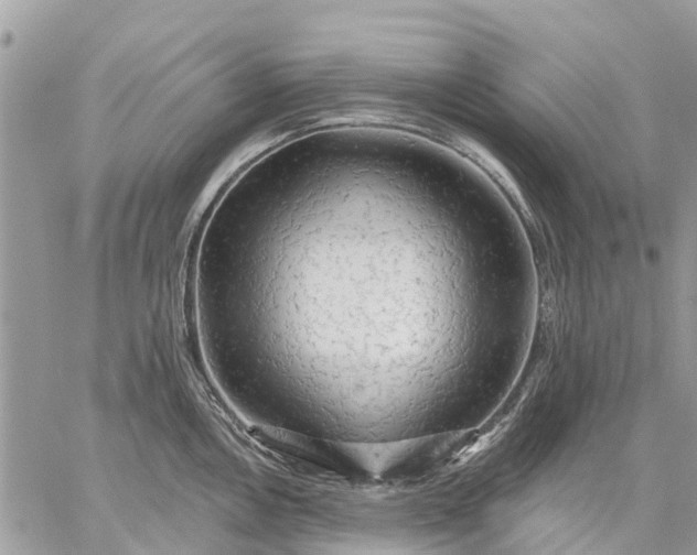 X0000059101146200510211626