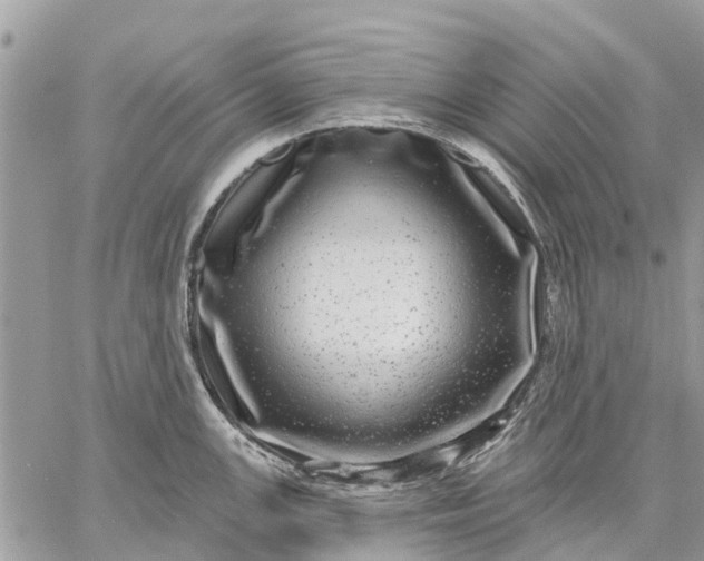 X0000059101147200510211626