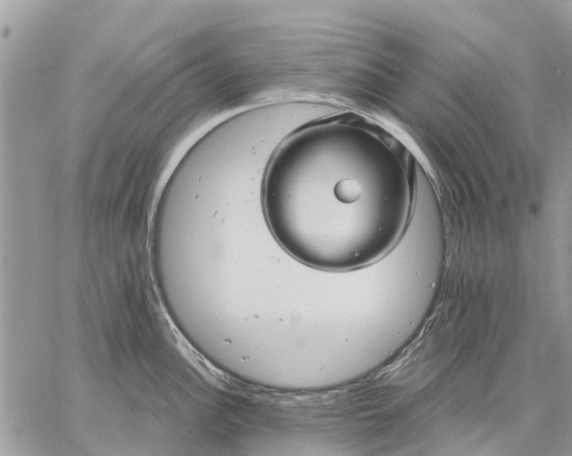 X0000059101148200510211626