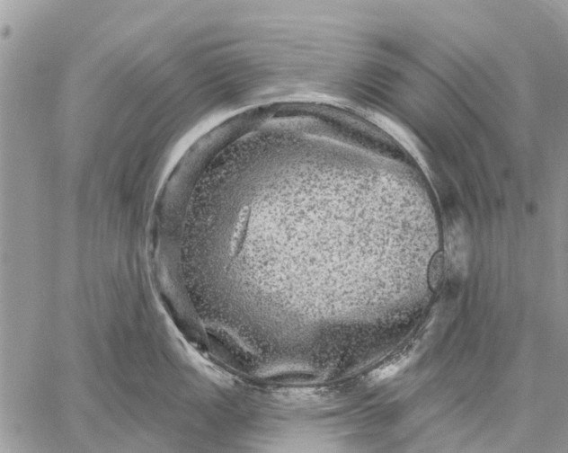 X0000059101149200510211626