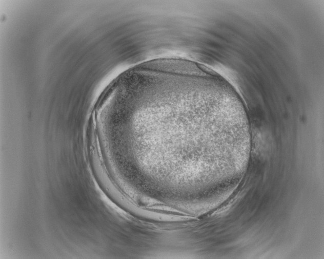 X0000059101151200510211626