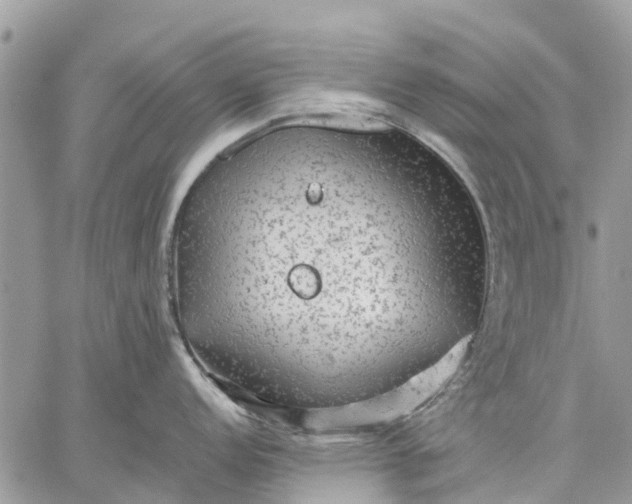 X0000059101152200510211626