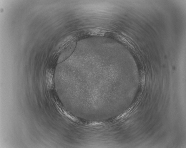 X0000059101154200510211625