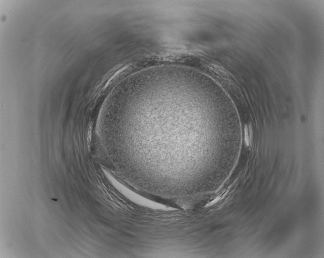 X0000059101155200510211625