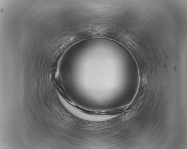 X0000059101156200510211625