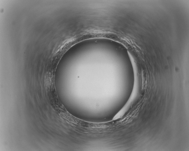 X0000059101157200510211625