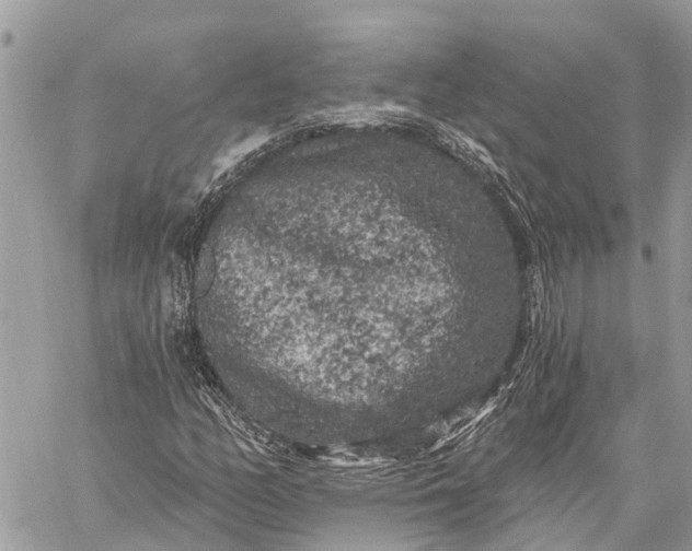 X0000059101158200510211625