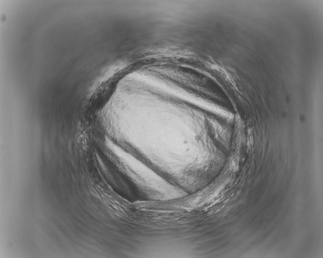 X0000059101159200510211625