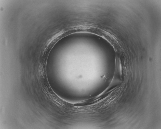 X0000059101160200510211625