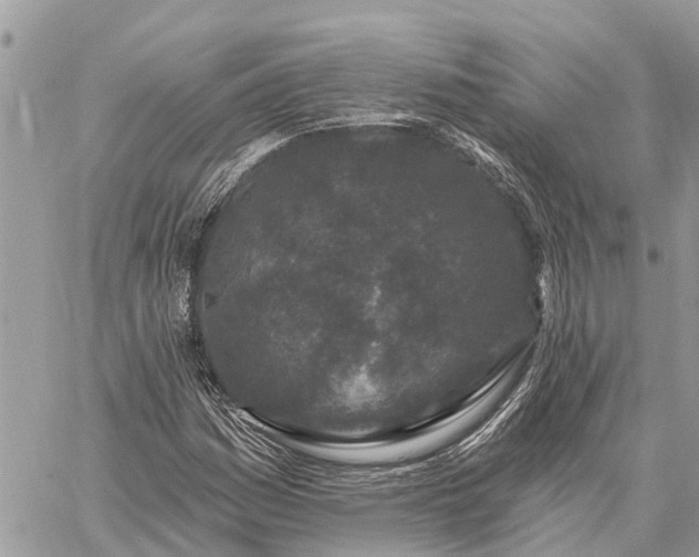 X0000059101161200510211625