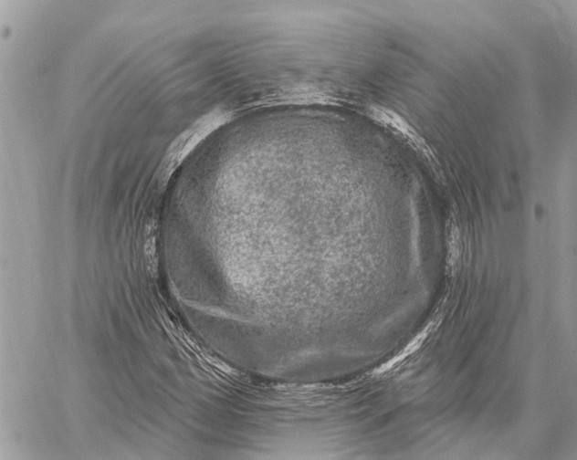 X0000059101162200510211625