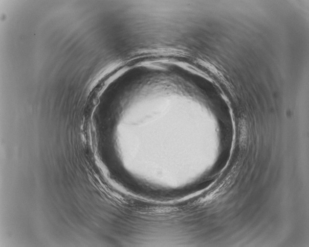 X0000059101163200510211625