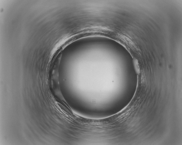 X0000059101164200510211625