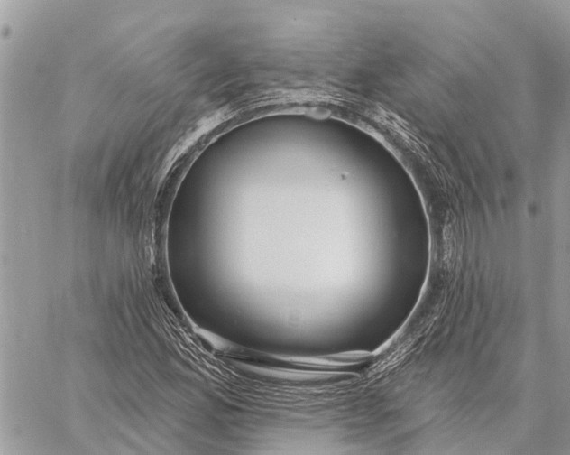 X0000059101165200510211625