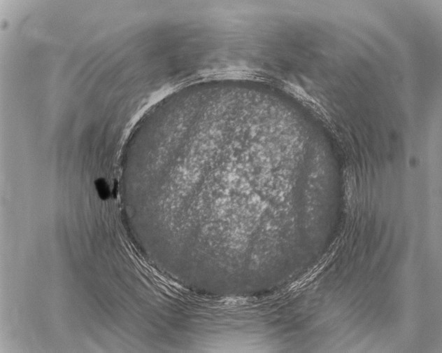 X0000059101166200510211625