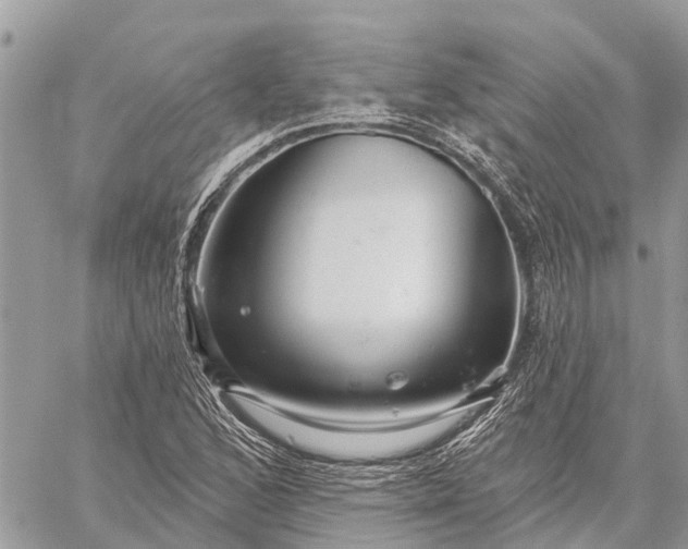 X0000059101168200510211625