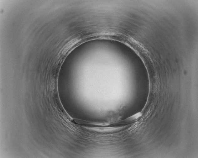 X0000059101169200510211625