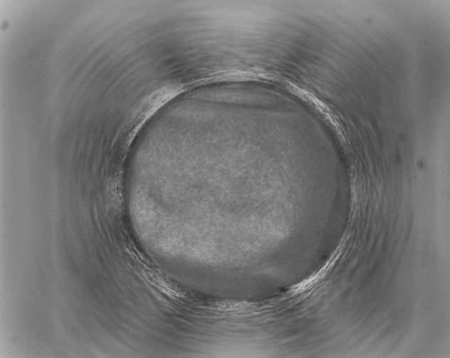 X0000059101170200510211625