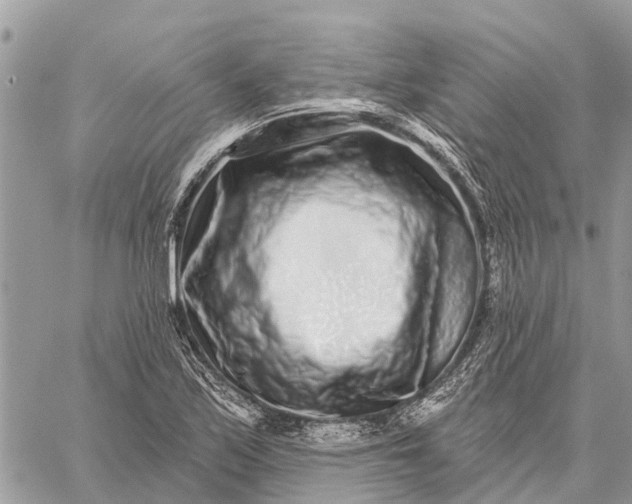 X0000059101171200510211625