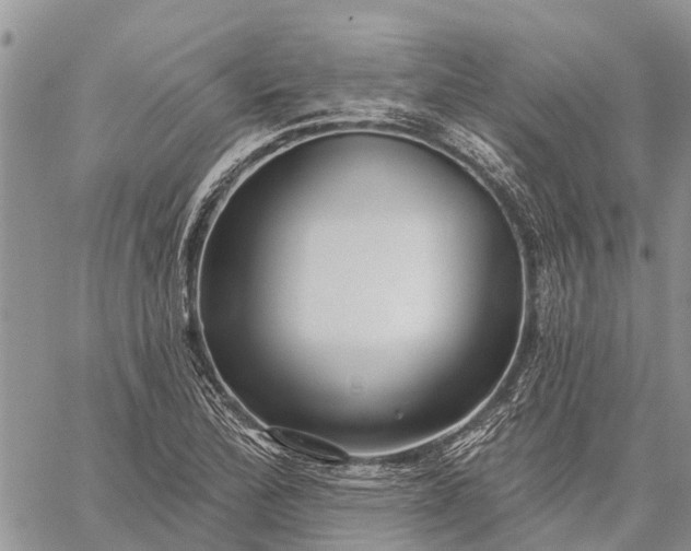 X0000059101172200510211625