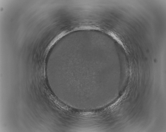 X0000059101173200510211625