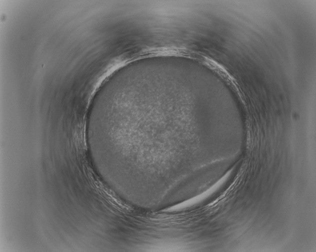 X0000059101174200510211625