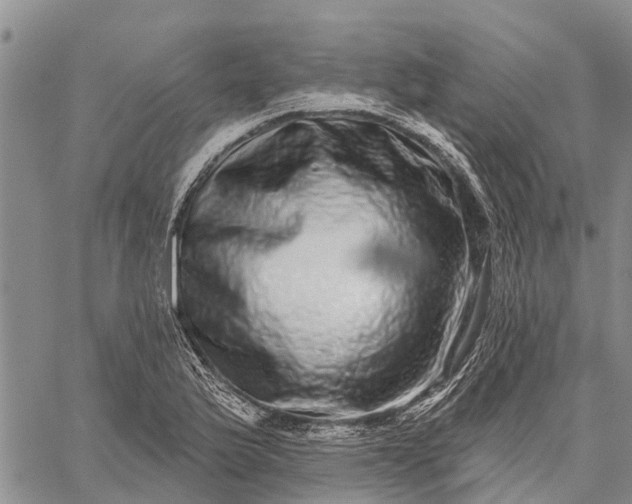 X0000059101175200510211625