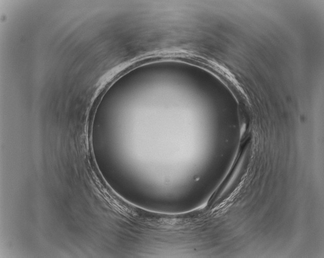 X0000059101176200510211625