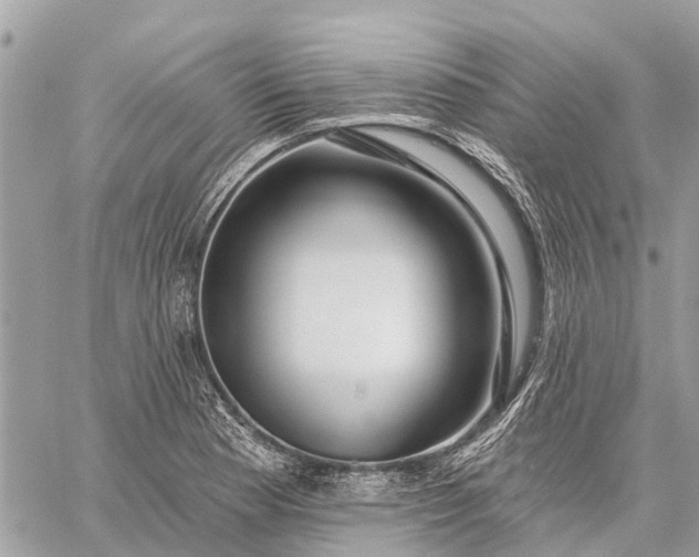 X0000059101177200510211625