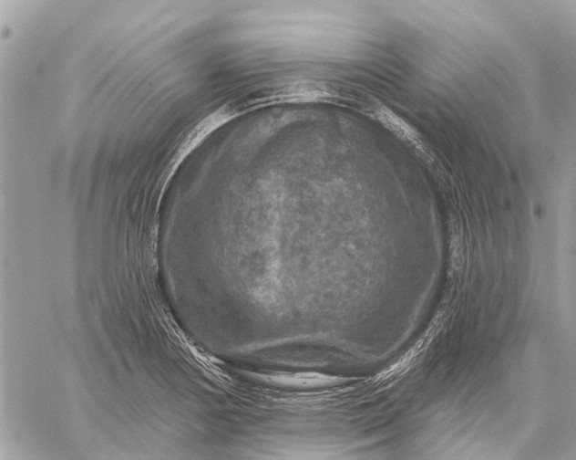 X0000059101178200510211625