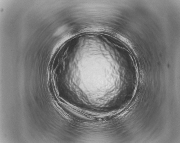 X0000059101179200510211625