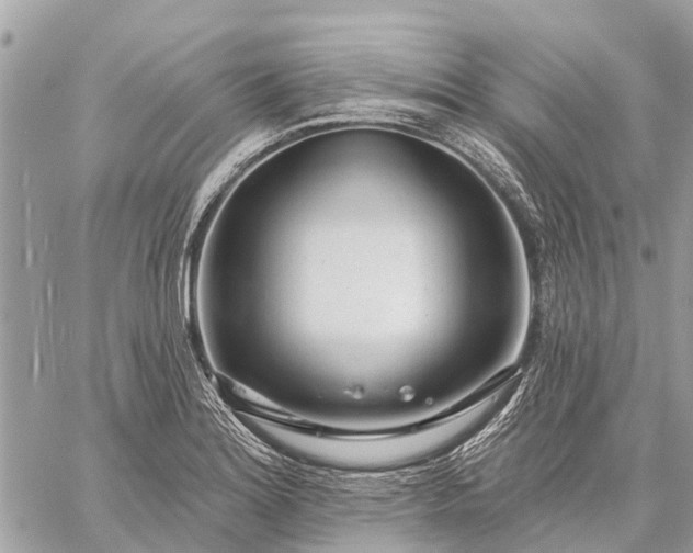 X0000059101180200510211625