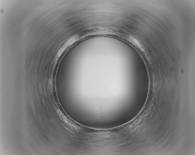 X0000059101181200510211625