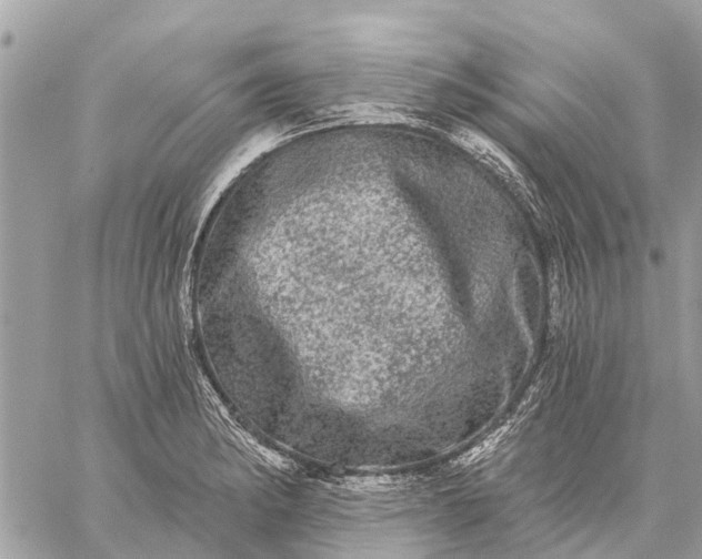 X0000059101182200510211625