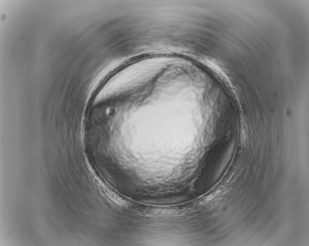 X0000059101183200510211625