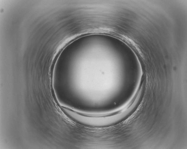 X0000059101184200510211625