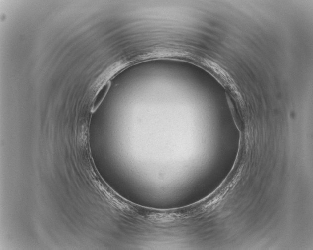 X0000059101185200510211625