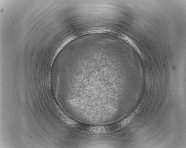 X0000059101186200510211625