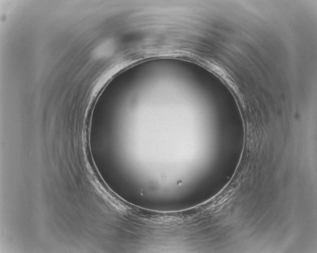 X0000059101187200510211625