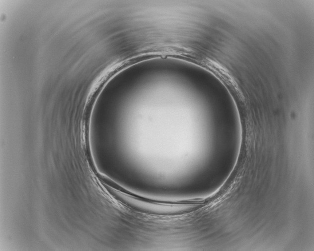 X0000059101188200510211625